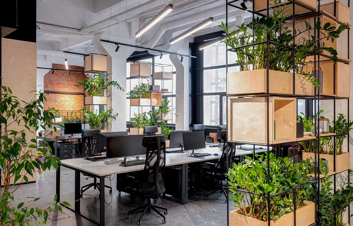 las-mejores-plantas-para-oficina.jpg
